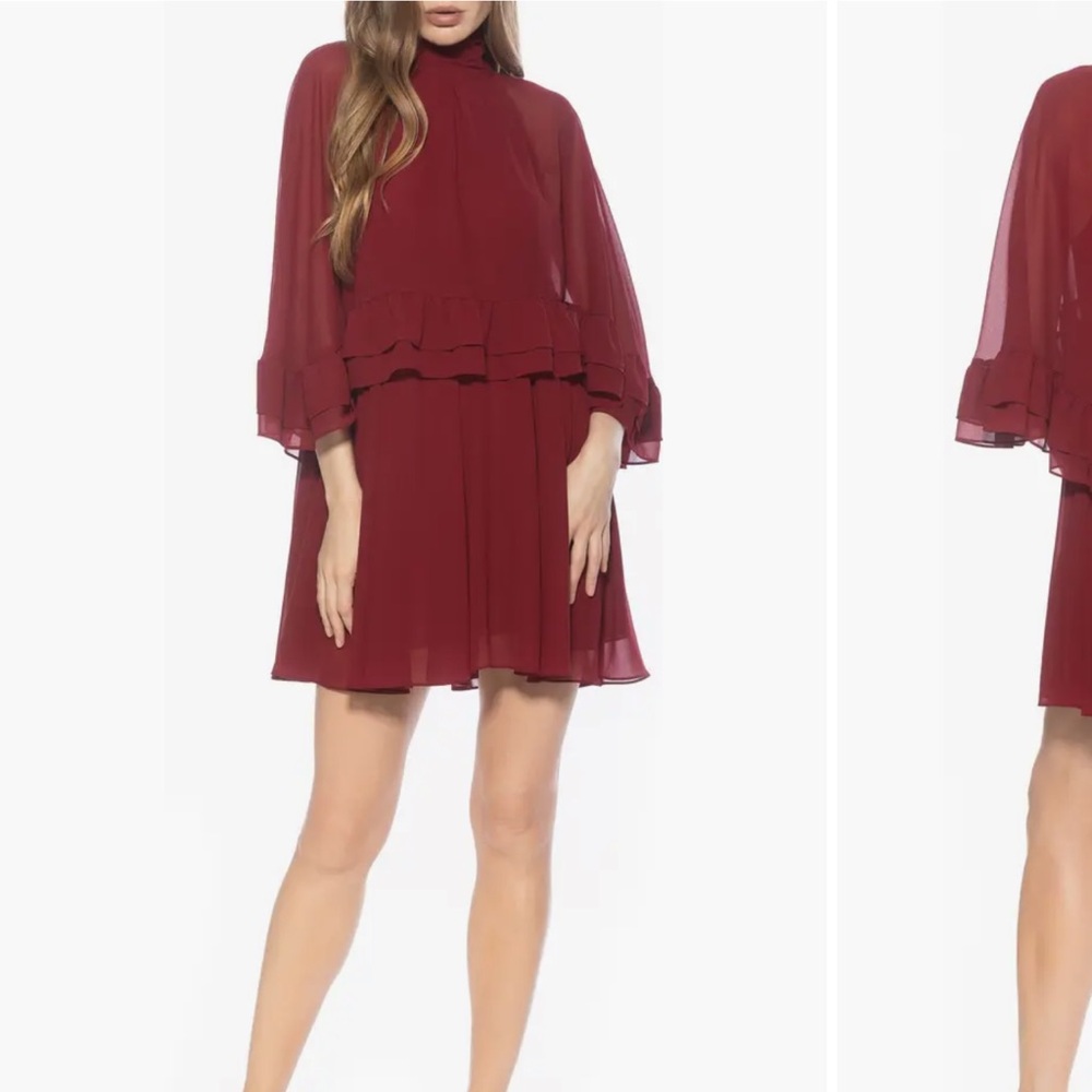 Alexia Admor Wine Mini Skirt